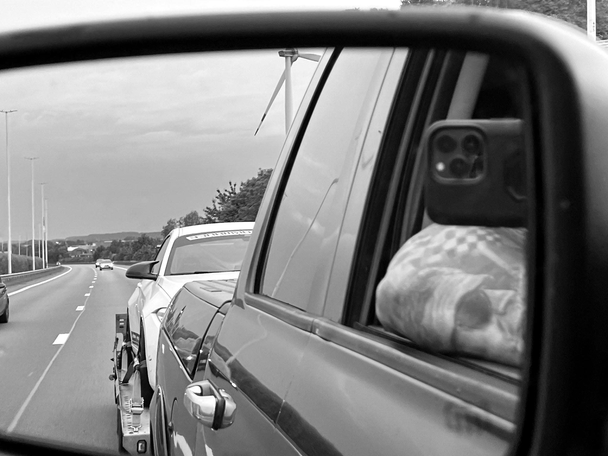 CD Transports vehicle transport 3