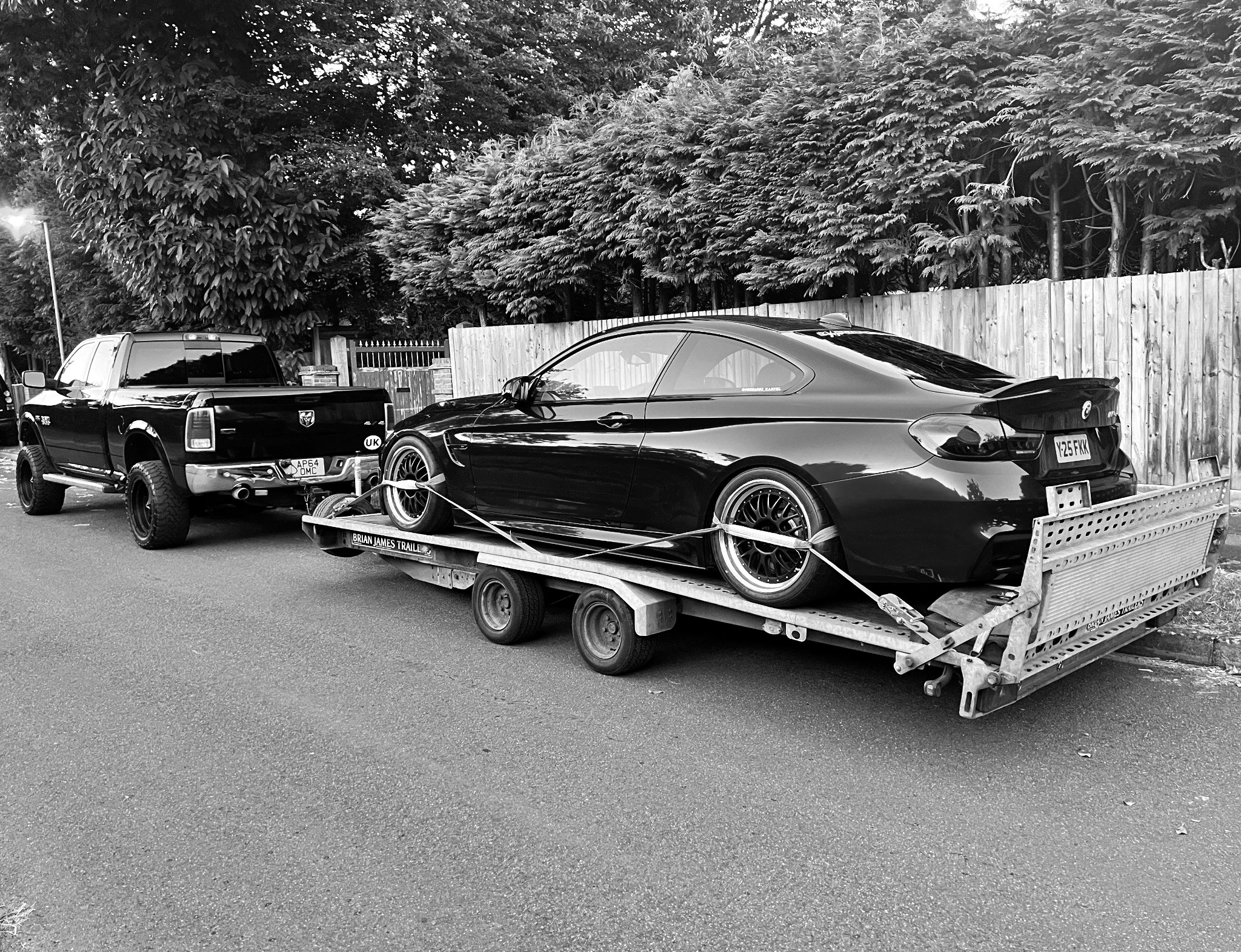 CD Transports vehicle transport 6